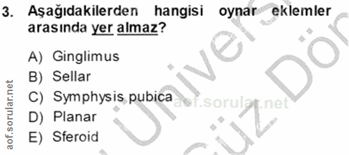 3. soru: Aşağıdakilerden hangisi oynar eklemler arasında yer almaz? A) Ginglimus B) Sellar C) Symphysis pubica .sorular .net D…
