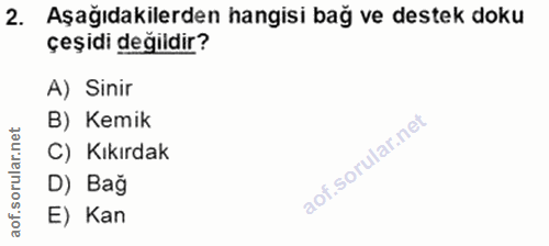 2. soru: Aşağıdakilerden hangisi bağ ve destek doku çeşidi değildir? A) Sinir B) Kemik C) Kıkırdak D) Bağ E) Kan