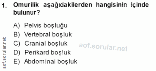 1. soru: Omurilik aşağıdakilerden hangisinin içinde bulunur? A) Pelvis boşluğu B) Vertebral boşluk C) Cranial boşluk aof.sorul…