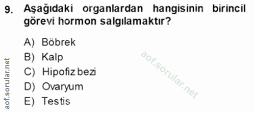 9. soru: Aşağıdaki organlardan hangisinin birincil görevi hormon salgılamaktır? A) Böbrek et B) Kalp C) Hipofiz bezi orul D) O…