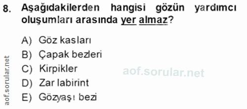 8. soru: Aşağıdakilerden hangisi gözün yardımcı oluşumları arasında yer almaz? A) Göz kasları B) Çapak bezleri C) Kirpikler D)…