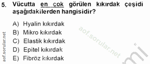 5. soru: Vücutta en çok görülen kıkırdak çeşidi aşağıdakilerden hangisidir? A) Hyalin kıkırdak B) Mikro kıkırdak C) Elastik kı…