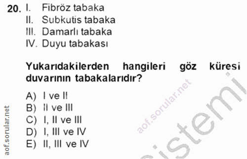 20. soru: 1. Fibröz tabaka Il. Subkutis tabaka III. Damarlı tabaka IV. Duyu tabakası Yukarıdakilerden hangileri göz küresi duva…