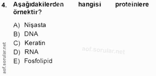 4. soru: Aşağıdakilerden hangisi proteinere örnektir? A) Nişasta B) DNA C) Keratin rular. D) RNA aof.so E) Fosfolipid