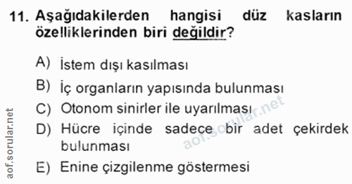 11. soru: Aşağıdakilerden hangisi düz kasların özelliklerinden biri değildır? A) İstem dışı kasılması B) İç organların yapısınd…