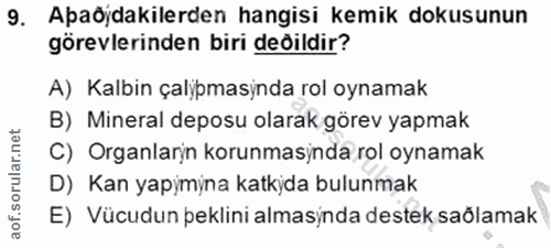 9. soru: Apaöýdakilerden hangisi kemik dokusunun görevlerinden biri değildir? A) Kalbin çalypmasynda rol oynamak B) Mineral de…