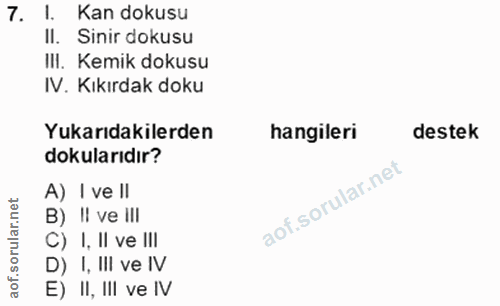 7. soru: 1. Kan dokusu Il. Sinir dokusu IlI. Kemik dokusu IV. Kıkırdak doku Yukarıdakilerden hangileri destek dokularıdır? A)…