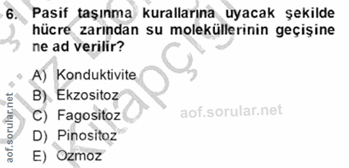 6. soru: Pasif taşınma kurallarına uyacak şekilde hücre zarından su moleküllerinin geçişine ne ad verilir? A) Konduktivite B).…