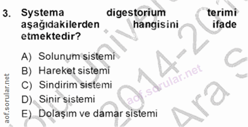 3. soru: Systema digestorium terimi aşağıdakilerden hangisini ifade etmektedir? A) Solunum sistemi C B) Hareket sistemi .sdrul…
