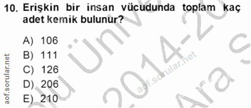 10. soru: Erişkin bir insan vücudunda toplam kaç adet kemik bulunur? A) 106 C B) 111 f.sdrular.net | C) 126 D) 206 E) 210