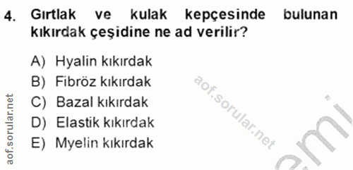 4. soru: Gırtlak ve kulak kepçesinde bulunan kıkırdak çeşidine ne ad verilir? A) Hyalin kıkırdak B) Fibröz kıkırdak C) Bazal k…