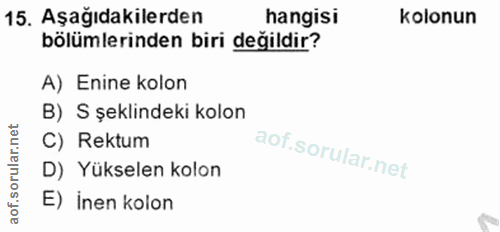 15. soru: Aşağıdakilerden hangisi kolonun bölümlerinden biri değildir? A) Enine kolon B) S şeklindeki kolon C) Rektum D) Yüksel…