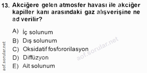 13. soru: Akciğere gelen atmosfer havası ile akciğer kapiller kanı arasındaki gaz alışverişine ne ad verilir? A) İç solunum B)…