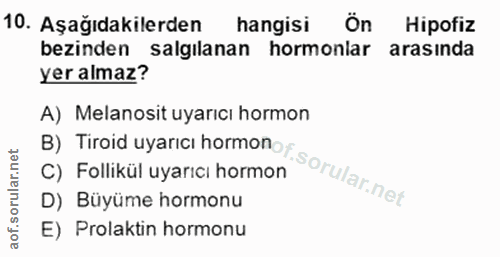 10. soru: Aşağıdakilerden hangisi On Hipofiz bezinden salgılanan hormonlar arasında yer almaz? A) Melanosit uyarıcı hormon C) F…