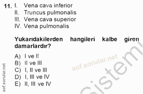11. soru: I. Vena cava inferior II. Truncus pulmonalis I!I. Vena cava superior IV. Vena pulmonalis Yukarıdakilerden hangileri k…
