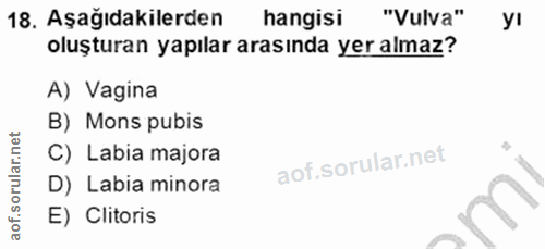 18. soru: Aşağıdakilerden hangisi "Vulva" yI oluşturan yapılar arasında yer almaz? A) Vagina B) Mons pubis C) Labia majora D) L…