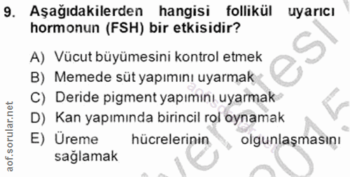 9. soru: Aşağıdakilerden hangisi follikül uyarıcı hormonun (FSH) bir etkisidir? A) Vücut büyümesini kontrol etmek B) Memede sü…
