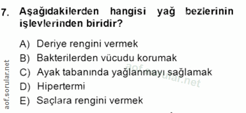 7. soru: Aşağıdakilerden hangisi yağ bezirinin işlevlerinden biridir? A) Deriye rengini vermek B) Bakterilerden vücudu korumak…