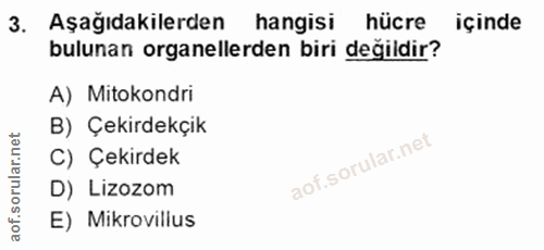 3. soru: Aşağıdakilerden hangisi hücre içinde bulunan organellerden biri değildir? A) Mitokondri B) Çekirdekçik C) Çekirdek D)…