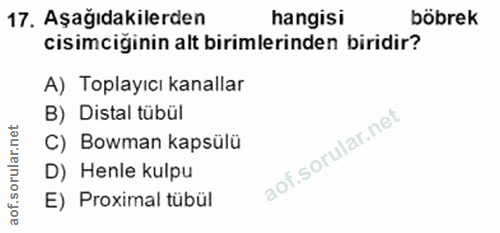 17. soru: Aşağıdakilerden hangisi böbrek cisimciğinin alt birimlerinden biridir? A) Toplayıcı kanallar B) Distal tübül C) Bowma…
