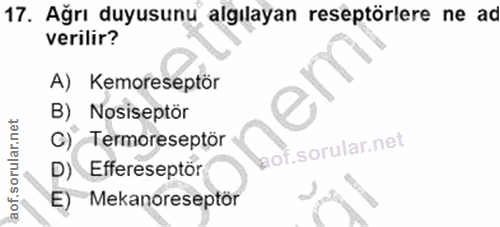 17. soru: Ağrı duyusunu algılayan reseptörlere ne ad verilir? A) Kemoreseptör B) Nosiseptör C) Termoreseptör wof. Effereseptör…