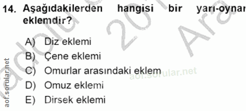 14. soru: Aşağıdakilerden hangisi bir yarı-oynaı eklemdir? A) Diz eklemi B) Çene eklemi Omurlar arasındaki eklem ular.net D) Om…