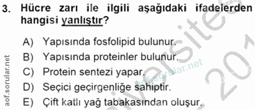 3. soru: Hücre zarı ile ilgili aşağıdaki ifadelerden hangisi yanlıştır? A) Yapısında fosfolipid bulunur.- B) Yapısında protein…