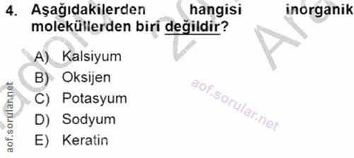 4. soru: Aşağıdakilerden hangisi inorganik moleküllerden biri değildir? A). Kalsiyum B) Oksijen aof.sorulan.net C) Potasyum D)…
