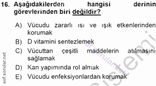 16. soru: Aşağıdakilerden hangisi derinin görevlerinden biri değildir? A) Vücudu zararlı ısı ve ışık etkenlerinden korumak B) D…