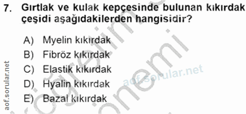7. soru: Gırtlak ve kulak kepçesinde bulunan kıkırdak çeşidi aşağıdakilerden hangisidir? A) Myelin kıkırdak B) Fibröz kıkırdak…
