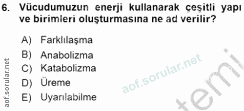 6. soru: Vücudumuzun enerji kullanarak çeşitli yapı ve birimieri oluşturmasına ne ad verilir? A) Farklılaşma B) Anabolizma C)…