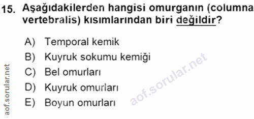 15. soru: Aşağıdakilerden hangisi omurganın (columna vertebralis) kısımlarından biri değildir? A) Temporal kemik B) Kuyruk soku…