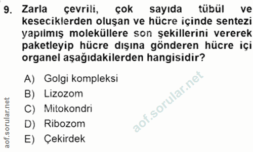 9. soru: Zarla çevrili, çok sayıda tübül ve kesecikierden oluşan ve hücre içinde sentezi yapılmış moleküllere son şekillerini…