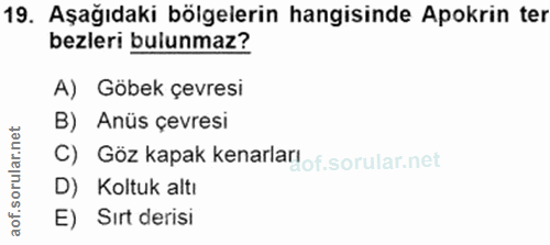 19. soru: Aşağıdaki bölgelerin hangisinde Apokrin ter bezleri bulunmaz? A) Göbek çevresi B) Anüs çevresi C) Göz kapak kenarlar!…