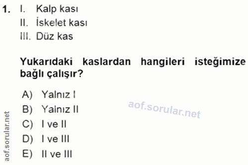 1. soru: I. Kalp kası II. İskelet kası Ill. Düz kas Yukarıdaki kaslardan hangileri isteğimize bağlı çalışır? A) Yalnız ! B) Ya…