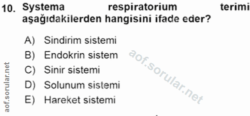 10. soru: Systema respiratorium terimi aşağıdakilerden hangisini ifade eder? A) Sindirim sistemi B) Endokrin sistem C) Sinir si…