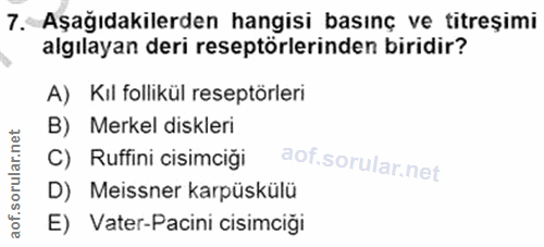 7. soru: Aşağıdakilerden hangisi basınç ve titreșimi algılayan deri reseptörlerinden biridir? A) Kil follikül reseptörleri B)…