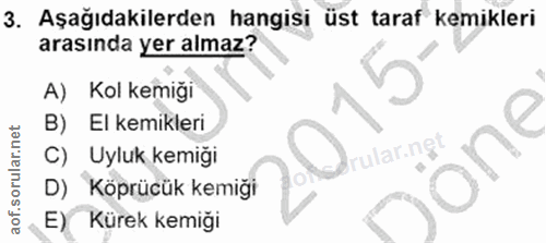 3. soru: Aşağıdakilerden hangisi üst taraf kemikleri arasında yer almaz? A) Kol kemiği B) El kemikleri rular.ngt C) Uyluk kemi…