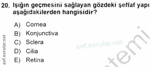 20. soru: Işığın geçmesini sağlayan gözdeki şeffaf yapı aşağıdakilerden hangisidir? A) Cornea B) Konjunctiva C) Sclera D) Cilia…