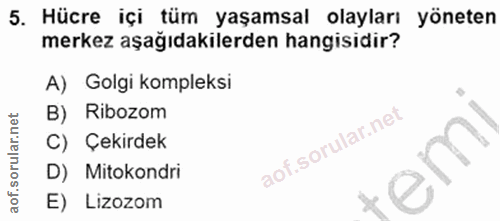 5. soru: Hücre içi tüm yaşamsal olayları yöneten merkez aşağıdakilerden hangisidir? A) Golgi kompleksi B) Ribozom C) Çekirdek…