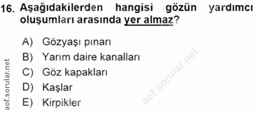 16. soru: Aşağıdakilerden hangisi gözün yardımcı oluşumları arasında yer almaz? A) Gözyaşı pınarı B) Yarım daire kanalları C) G…