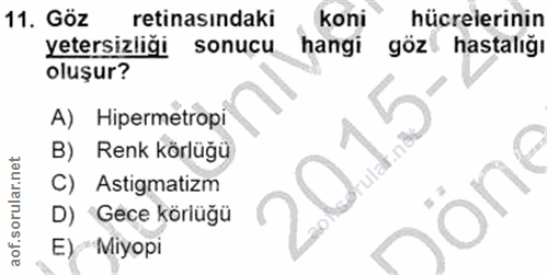 11. soru: Göz retinasındaki koni hücrelerinin yetersizliği sonucu hangi göz hastalığı oluşur? A) Hipermetropi B) Renk körlüğü C…