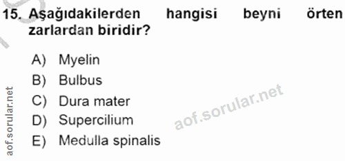 15. soru: Aşağıdakilerden hangisi beyni örten zarlardan biridir? A) Myelin B) Bulbus C) Dura mater D) Supercilium E) Medulla sp…