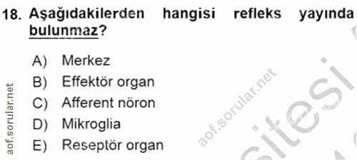 18. soru: Aşağıdakilerden hangisi refleks yayında bulunmaz? A) Merkez B) Effektör organ C) Afferent nöron itesı D) Mikroglia E)…