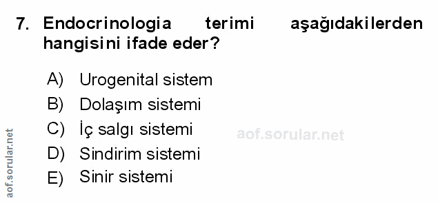 7. soru: Endocrinologia terimi aşağıdakilerden hangisini ifade eder? A) Urogenital sistem B) Dolaşım sistemi C) Iç salgı siste…