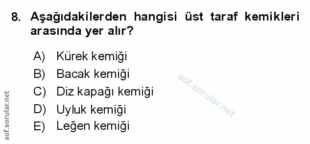 8. soru: Aşağıdakilerden hangisi üst taraf kemikleri arasında yer alır? A) Kürek kemiğı B) Bacak kemiği C) Diz kapağı kemiği D…