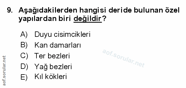 9. soru: Aşağıdakilerden hangisi deride bulunan özel yapılardan biri değildir? A) Duyu cisimciklerı B) Kan damarları C) Ter be…