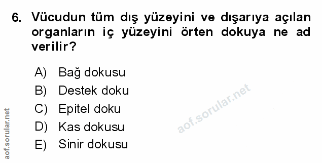 6. soru: Vücudun tüm dış yüzeyini ve dışarıya açılan organların iç yüzeyini örten dokuya ne ad verilir? A) Bag dokusu B Destek…