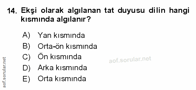 14. soru: Ekşi olarak algılanan tat duyusu dilin hangi kısmında algılanır? A) Yan kısmında B) Orta-ön kısmında C) On kısmında D…
