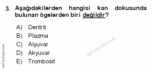 3. soru: Aşağıdakilerden hangisi kan dokusunda bulunan ögelerden biri değildir? A) Dentrit B) Plazma C) Alyuvar D) Akyuvar E)…